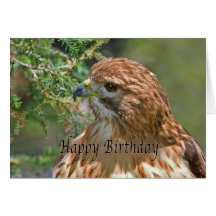 Anniversaire, carte Rouge-Épaulée de faucon
