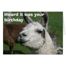 Anniversaire de lama carte