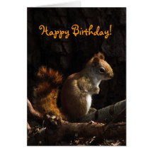 Anniversaire d'écureuil au soleil cartes