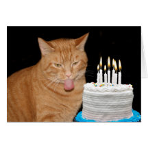 Anniversaire drôle de chat carte de vœux