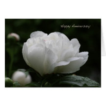 Anniversaire heureux cartes