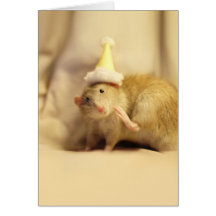 Anniversaire mignon de souris de chapeau de partie cartes de vœux