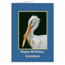Anniversaire, petit-fils, oiseau de pélican blanc cartes de vœux