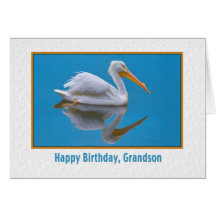 Anniversaire, petit-fils, pélican blanc carte