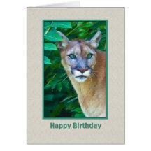 Anniversaire, puma dans la carte de jungle