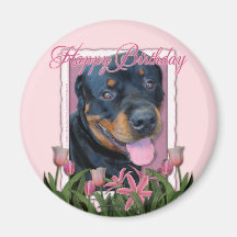 Anniversaire - tulipes roses - rottweiler - Harley Aimants