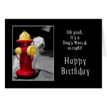 ANNIVERSAIRE - UN CHIEN CHANCEUX - HYDRANT/DOG CARTES DE VŒUX