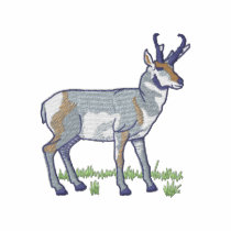 Antilope polos brodés