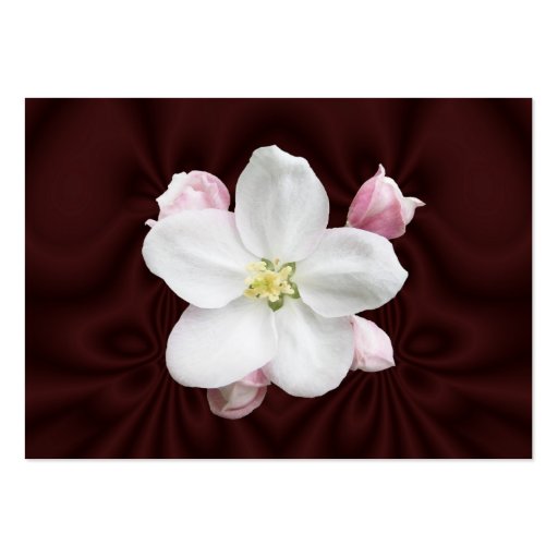 Apple fleurissent ATC de ~ Modèle De Carte De Visite