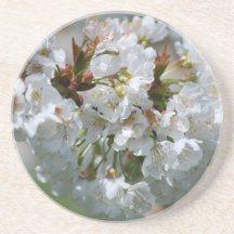 Apple fleurissent caboteur dessous de verre