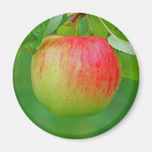 Apple Redfree Magnets Pour Réfrigérateur