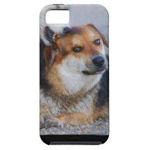 apprenez à rester frais coque iPhone 5