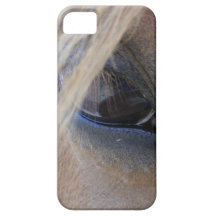 April's Eye iPhone 5 Cases