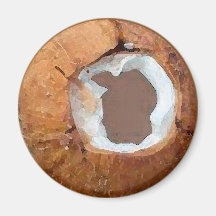 Aquarelle de noix de coco - aimant