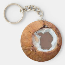 Aquarelle de noix de coco - porte - clé porte-clef