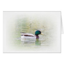 Aquarelle d'un canard cartes de vœux