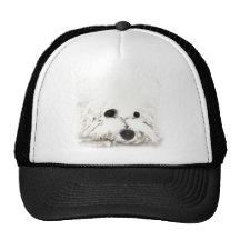 Aquarelle principale artistique de Bichon Casquette