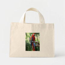 Ara d'écarlate, conception rouge de photograp d'ar sacs