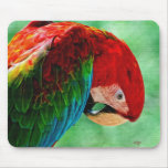 Ara Mousepad de perroquet par Lois Bryan Tapis De Souris