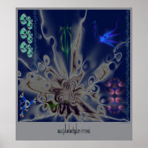 araignée de mer posters