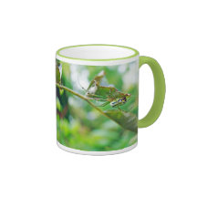 Araignée d'Orbweaver de verger - venusta de Leucau Tasse À Café