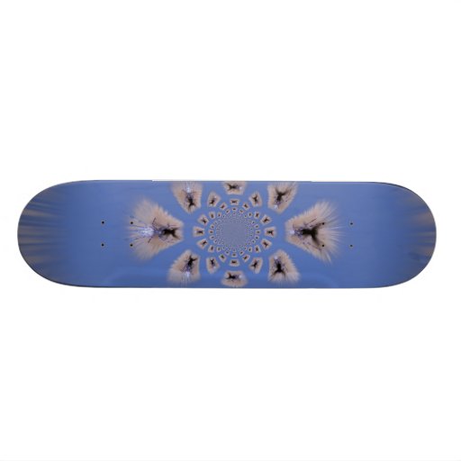 Araignée polaire de bleu d'inversion planche à roulette