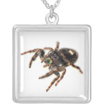 Araignée sautante bijouterie personnalisée