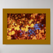 Aray de l'automne, affiche