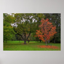 ARBORÉTUM DE PINSON POSTER