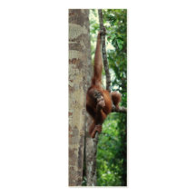 Arbre animal Hugger Modèles De Cartes De Visite