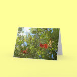 Arbre avec les fleurs rouges cartes