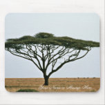 Arbre d'acacia d'épine de parapluie tapis de souris