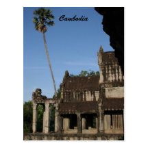 arbre d'angkor cartes postales
