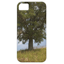 Arbre dans le domaine coque iPhone 5 Case-Mate
