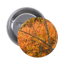 Arbre dans le régalia d'automne pin's