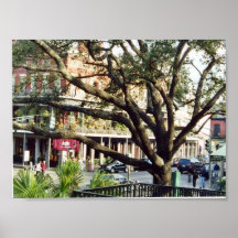 arbre dans les sud poster