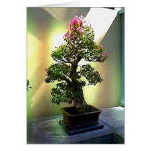 Arbre de bonsaïs de bouganvillée cartes de vœux