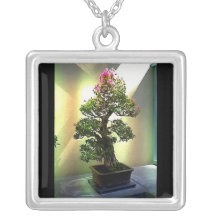 Arbre de bonsaïs de bouganvillée bijouterie personnalisée