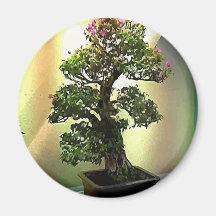 Arbre de bonsaïs de bouganvillée aimants pour réfrigérateur