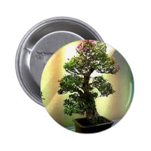 Arbre de bonsaïs de bouganvillée pin's