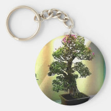 Arbre de bonsaïs de bouganvillée porte-clefs