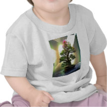 Arbre de bonsaïs de bouganvillée t-shirts