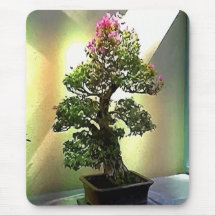 Arbre de bonsaïs de bouganvillée tapis de souris