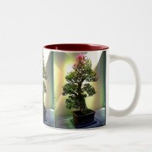 Arbre de bonsaïs de bouganvillée tasse