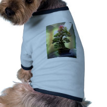 Arbre de bonsaïs de bouganvillée t-shirt pour animal domestique