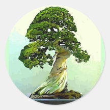 Arbre de Cypress de bonsaïs Adhésifs