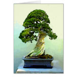Arbre de Cypress de bonsaïs Carte De Vœux