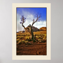 Arbre de fantôme - vallée de monument poster