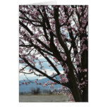 Arbre de fleurs de cerisier carte