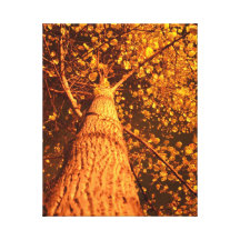 Arbre de la terre impressions sur toile